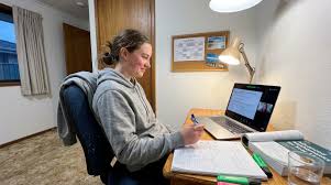 Is Online Tutoring Worth It